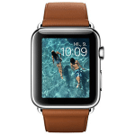 Apple Watch 1,7 Milliarden Umsatz